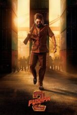 Film Online Pushpa 2 The Rule (2024) Sub Indo